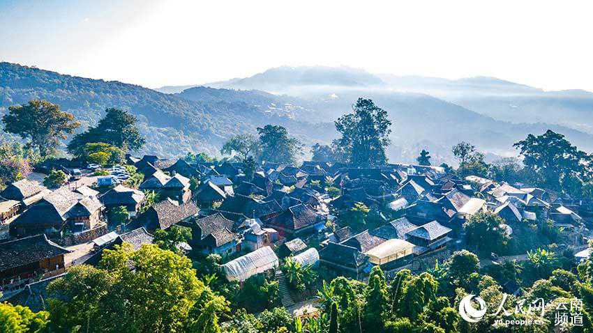 景邁山古茶林中的少數民族傳統村落。人民網 虎遵會攝