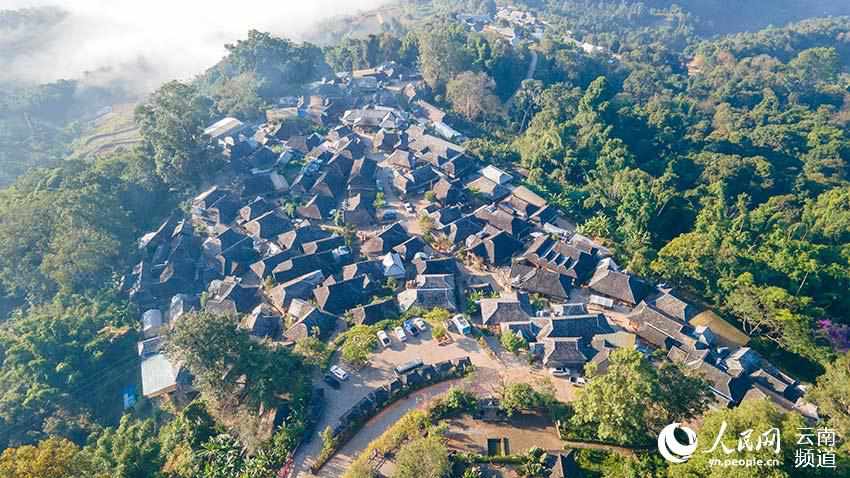 景邁山古茶林中的少數民族傳統村落。人民網 虎遵會攝