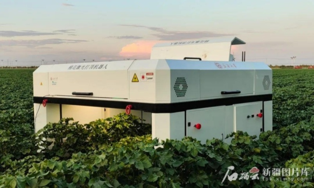The cotton laser topping robot. Photo: Xinjiang Daily