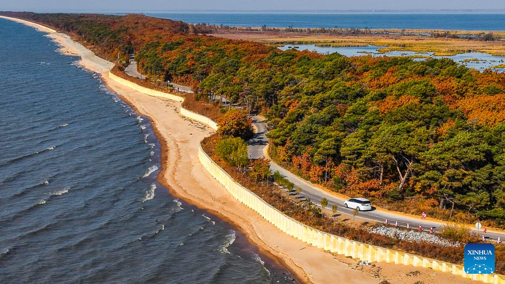 Stunning autumn scenery across China